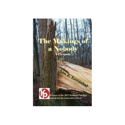 The Makings of a Nobody: A Fictmoir