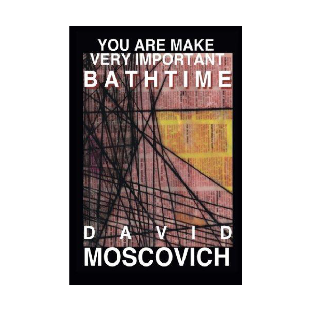 You Are Make Very Important Bathtime (Novel) by David Moscovich